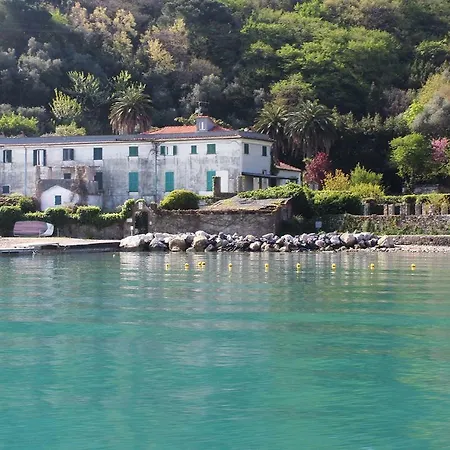 Olivo Porto Venere